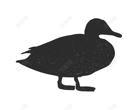 黑色动物鸭子剪影图片素材免费下载 - 觅知网