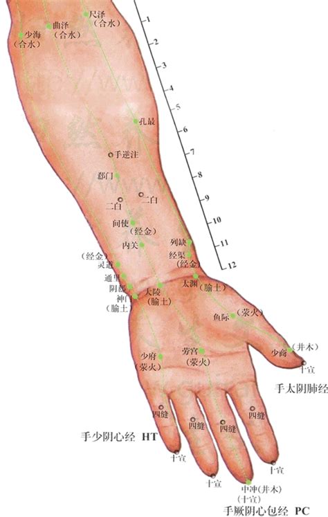 易经里为何讲阳九阴六_老阳