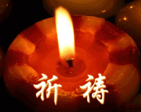 节哀图片