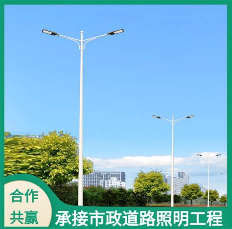 厂家定制户外照明路灯杆 6米7米8米马路市电路灯高低双臂led路灯-阿里巴巴