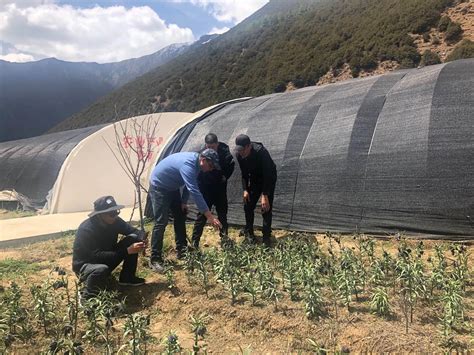 助力色尼区乡村振兴 嘉兴援藏工作组调研西藏嘎尔德生态畜牧公司
