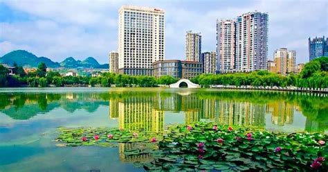 南方的深圳可以说是一座花园城市，一年四季鲜花常开，姹紫嫣红