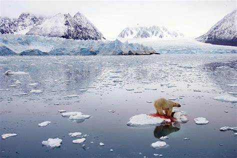 研究发现全球每年流失2600多亿吨冰，全球冰川加速融化会有什么严重后果？- 热点资讯_赢家财富网