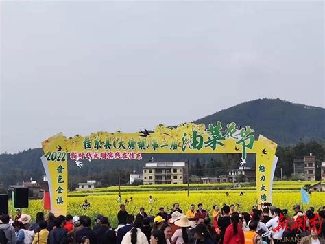 桂东县大塘镇第二届油菜花节开幕 - 郴州 - 新湖南