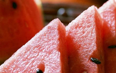 一般我们吃的零食西瓜子是夏天常吃的西瓜里的籽吗？|一般|我们-360GAME-川北在线
