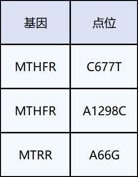 “绘”解读，“真”报告 | 读完后秒懂脑胶质瘤基因检测报告_肿瘤