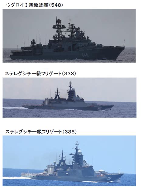 俄国防部长：43艘军舰和41架航空器将参加圣彼得堡海上阅兵 中国亦派军舰参加 - 2019年7月16日, 俄罗斯卫星通讯社