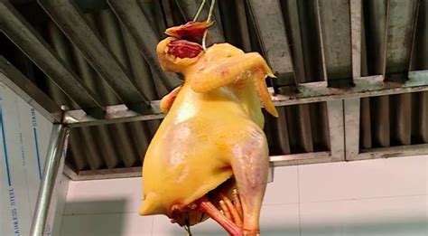 【图文】烤全鸡的做法_烤全鸡的家常做法_烤全鸡怎么做好吃_做法步骤,视频_烤全鸡-美食天下