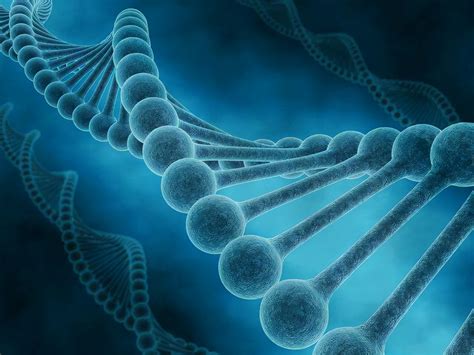 人类的dna和动物的能结合吗，人类的DNA和什么动物的最接近