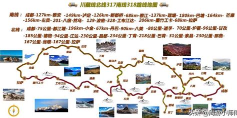 拉萨雪莲花-旅游联盟西藏拉萨旅游资讯中心