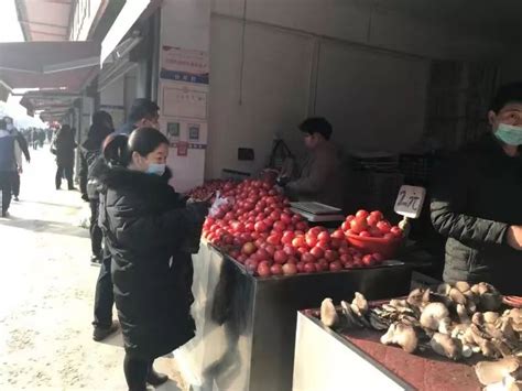 河北邯郸蔬菜蔬菜_菜花价格行情_蔬菜商情网
