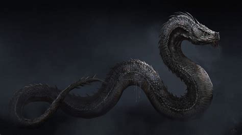 蟒蛇化龙的传说 - 蟒蛇科普