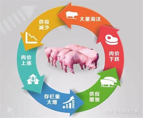 2022年猪周期思考 一、猪周期阶段从猪周期属性看，有三个阶段，其中生猪养殖股以猪价见底为界限而区分为两个阶段，两个阶段中，核心观测指标为产能 ...