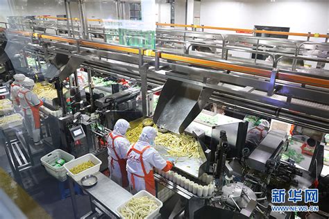 贵州赤水：擦亮“中国竹都”品牌 推进竹产业高质量发展