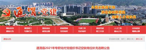 2021年甘肃定西通渭县专职化村官空缺岗位补充选聘公告