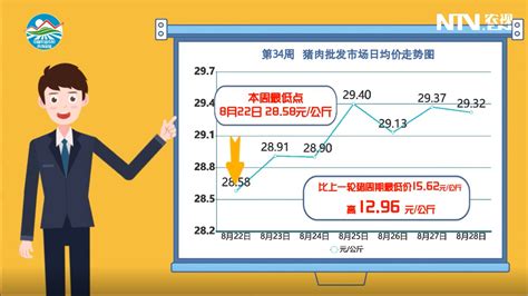8月第4周，猪肉批发价小幅上涨_凤凰网视频_凤凰网