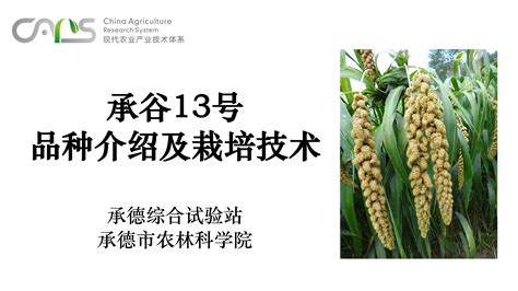 “互联网+”优秀案例：推动信息技术集成应用 助力现代农业转型升级——北京农业信息技术研究中心