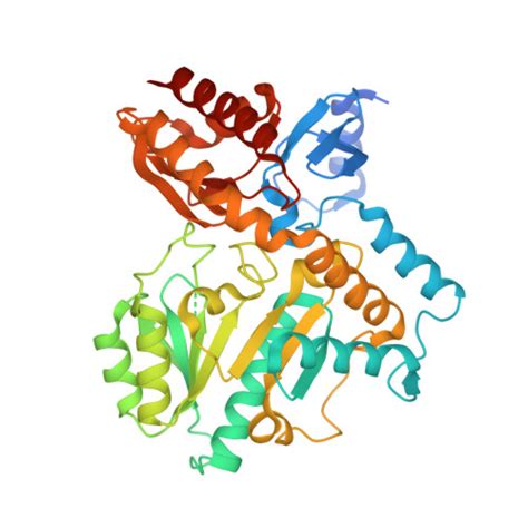 RCSB PDB - 1Z7D: Ornithine aminotransferase PY00104 from Plasmodium Yoelii