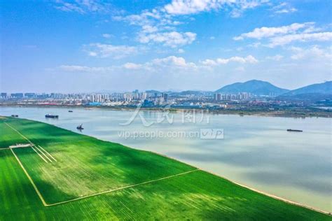 安徽铜陵：长江岸线生态美-人民图片网