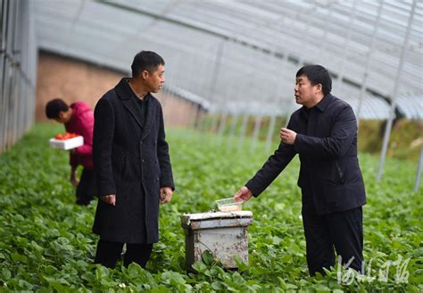 河北宁晋：以督增效助力乡村振兴凤凰网河北_凤凰网