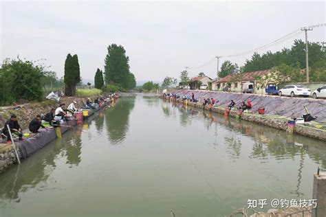 垂钓·技巧丨路亚黑坑常用的拟饵操作手法 - 知乎