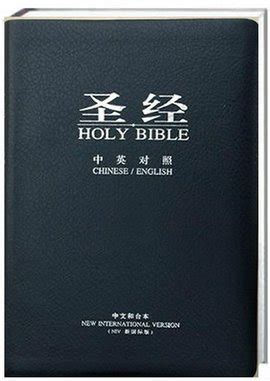 《圣经》纵览(百科通识文库) - 人文社科