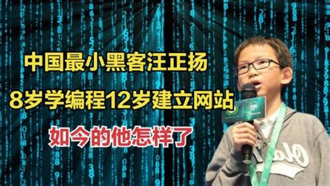 中国最小黑客汪正扬：8岁学编程12岁建立网站，如今的他怎样了？_高清1080P在线观看平台_腾讯视频