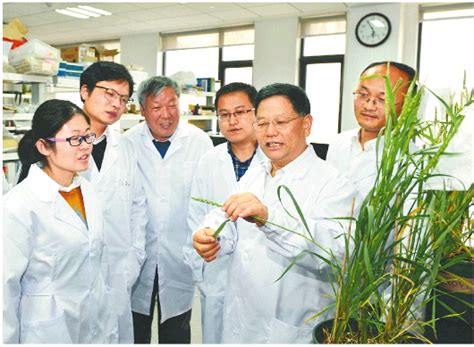 超硬核！山东农大段巧红团队在《自然》主刊揭示被子植物受精过程关键机制_山东频道_凤凰网