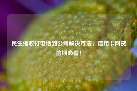 催收电话要不要接？不接会构成犯罪吗？ - 知乎