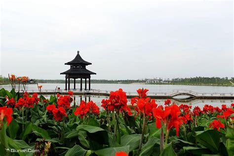 Research Base-泗洪洪泽湖湿地景区 官方网站