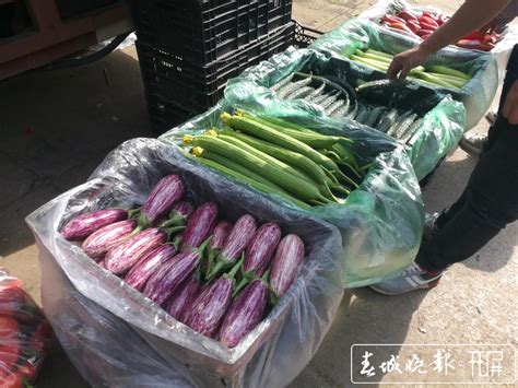 开屏新闻-【市场保障】记者探访昆明最大蔬菜批发市场：日均交易1400吨，供应充足