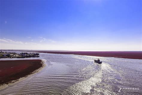 盘锦红海滩，位于辽河三角洲的盘锦市，有… - 高清图片，堆糖，美图壁纸兴趣社区