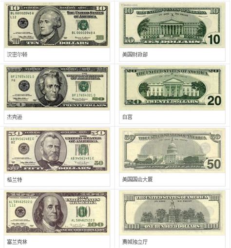 不同面值的美元钞票平铺在桌面上商业金融素材设计