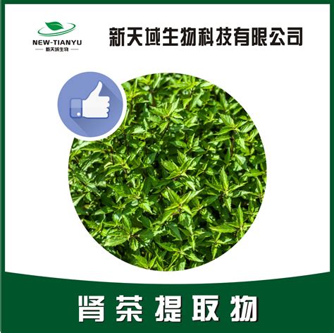 肾茶提取物-陕西新天域生物科技有限公司-官网