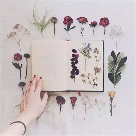 非主流头像制作干花