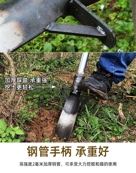 挖树专用铁锹洛阳铲深坑挖土锰钢铲子起苗户外挖土沟洞根工具-阿里巴巴