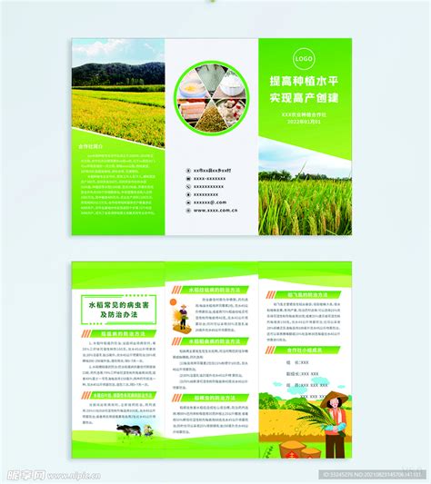 农业水稻种植合作社简介设计图__广告设计_广告设计_设计图库_昵图网nipic.com