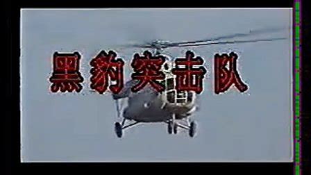 国产经典电视剧1988年黑豹突击队 - 资源合集 - 小不点搜索