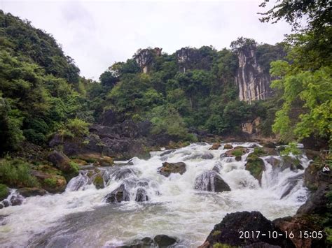 拿稳营销“第一棒”2022贵州镇宁蜂糖李经销商见面会举办|拿稳|营销-综合资讯-川北在线