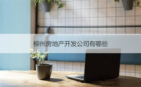 广西柳州汽车城：产城融合 打造广西新区建设新样板 打印页面 / - 广西县域经济网
