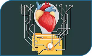 隆回人民医院成功开展首例永久性心脏起搏器置入术和心脏射频消融术_隆回人网