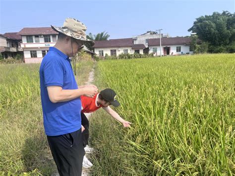 资阳：精准预报战高温 智慧气象助秋收-四川省气象局