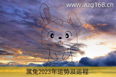 属兔2023年运势及运程 属兔2023年运势及运程每月运程