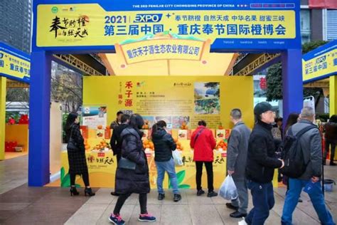 新华·奉节脐橙价格指数年度运行报告在渝发布 - 重庆日报