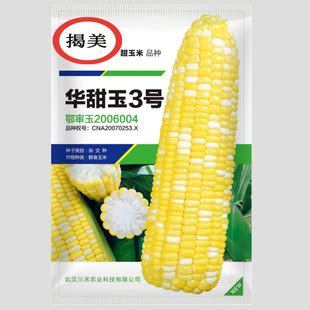 华甜玉3号杂交甜玉米种子 金银玉米种子 鲜食玉米 原厂包装100克-阿里巴巴