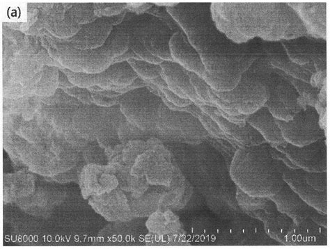 一种锍盐类阳离子聚合物修饰的Fe3O4磁性纳米粒子及其制备方法和应用与流程