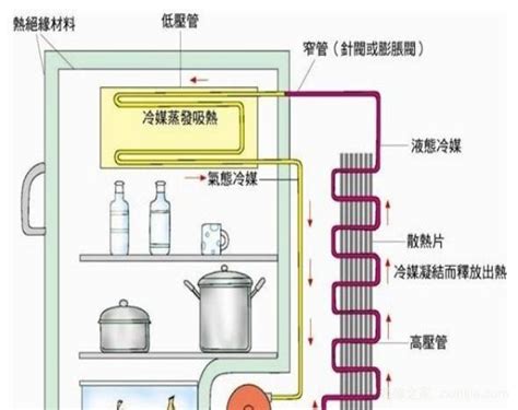 冰箱内部结构图解图片