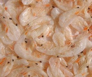 虾皮是什么样子的图片,虾皮和虾米的区别图片,虾米和虾皮的图片_大山谷图库