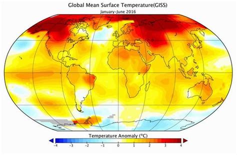 《中国气候变化蓝皮书（2020）》发布：气候系统变暖加速 - 中国绿色碳汇基金会