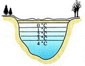 升钟水库和灌渠水温观测分析及分层取水效果研究